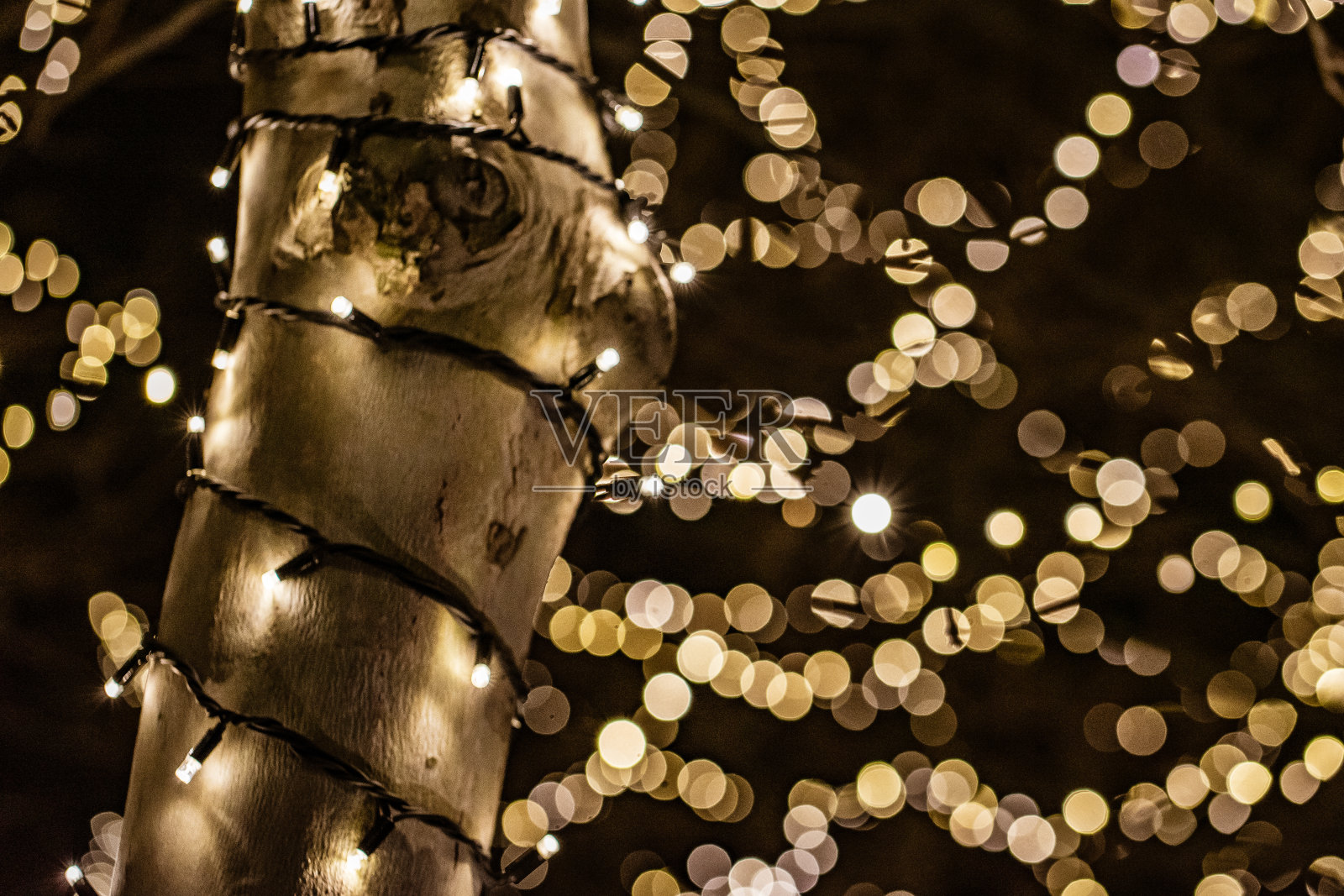 维也纳的圣诞树照片摄影图片