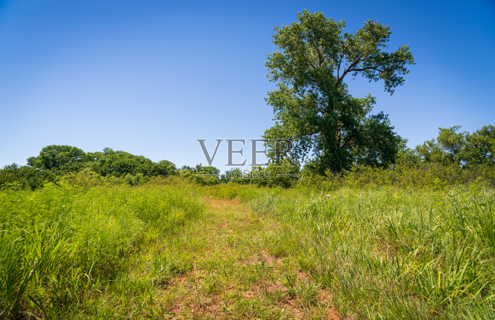 Washita Battlefield国家历史遗址景观照片摄影图片