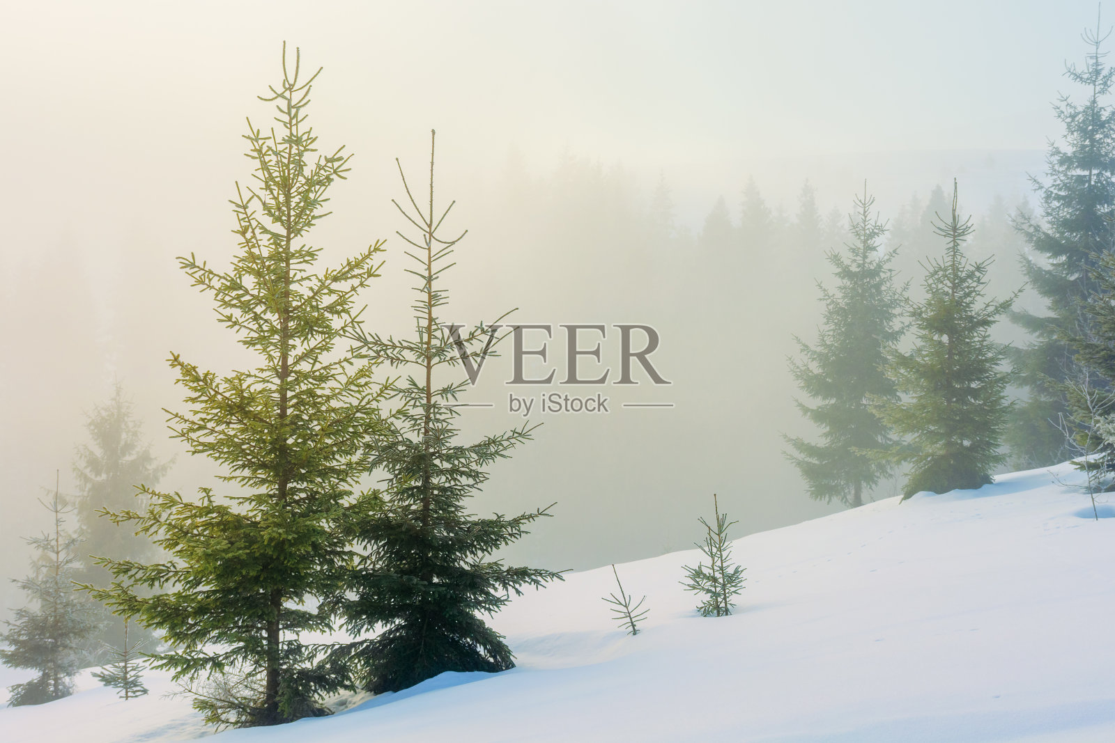 冬天山上童话般的景色照片摄影图片