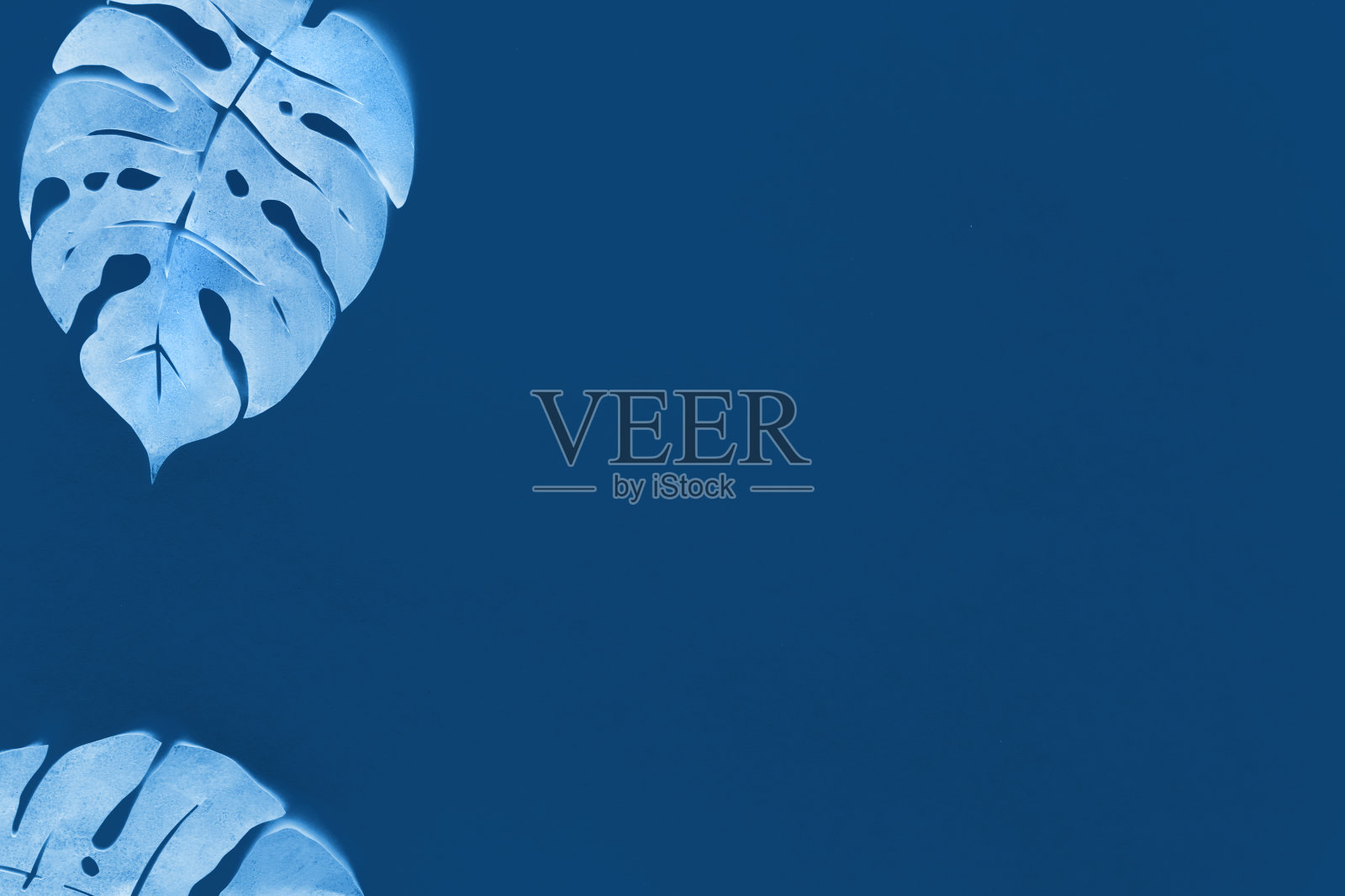 黑白蓝色调图像与复制空间。花的背景,平铺热带植物的叶子,用纸做的,在深蓝色的纸。简约现代的背景。照片摄影图片