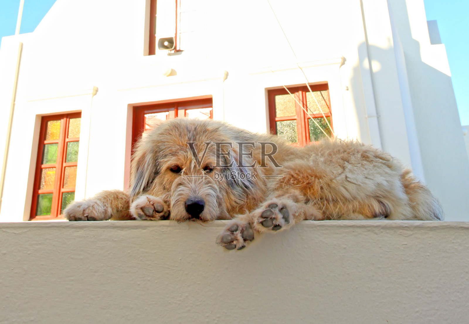 希腊的圣托里尼岛照片摄影图片