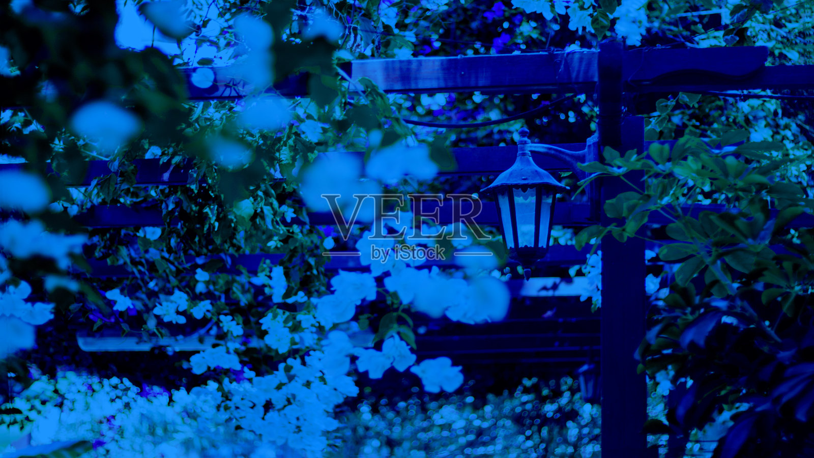 时尚复古的街灯在户外咖啡厅的背景上盛开的灌木和绿叶,春天的气氛,春天的心情,横横幅。经典,蓝色单色,2020年流行趋势照片摄影图片