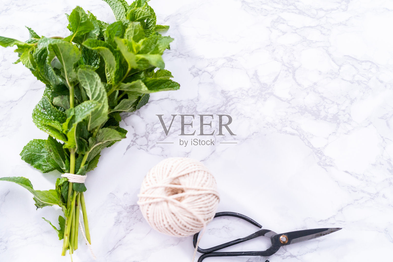 大理石背景上的有机花园的新鲜薄荷。照片摄影图片