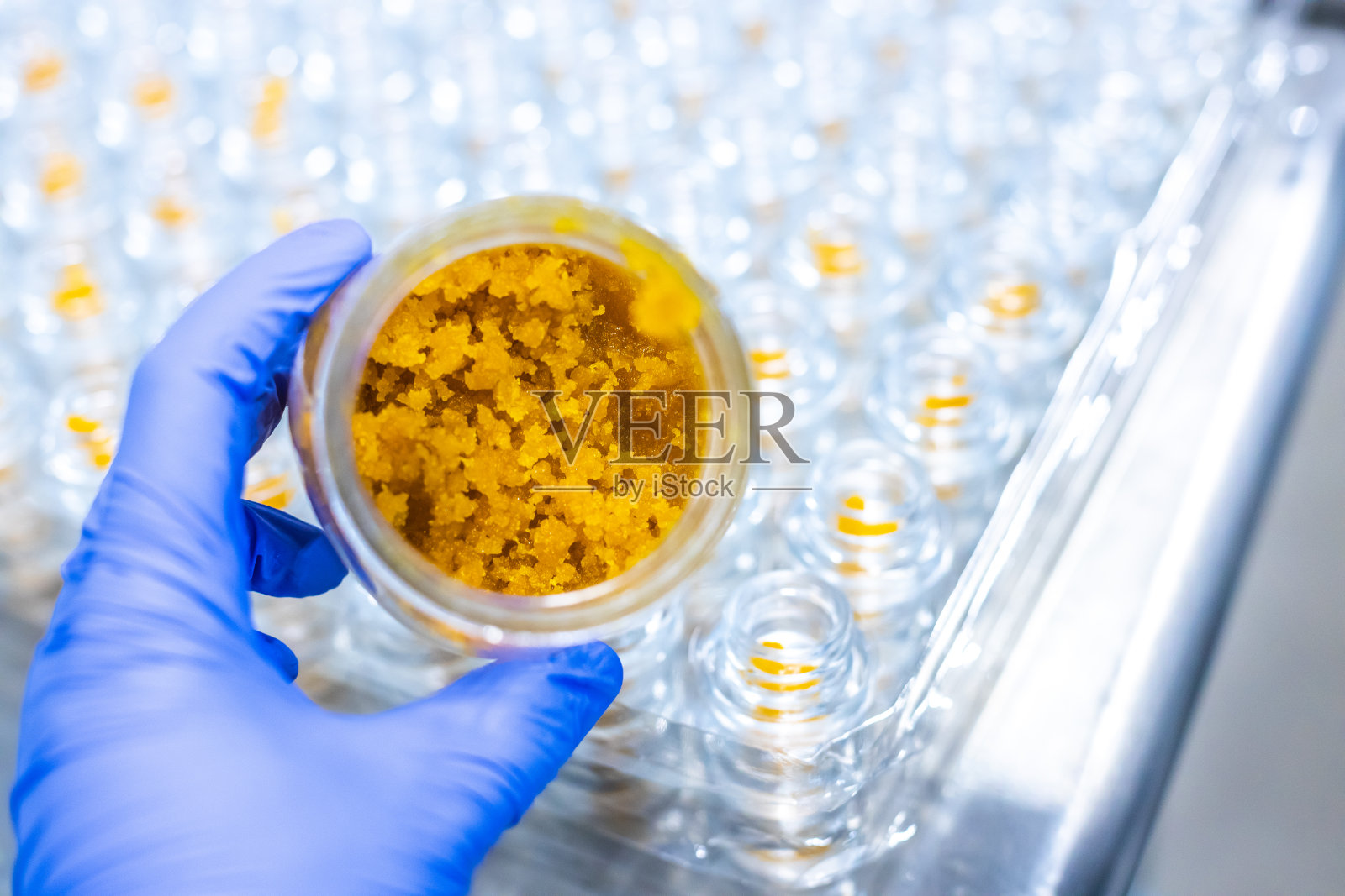 大麻活树脂合法制造和包装大麻轻拍照片摄影图片