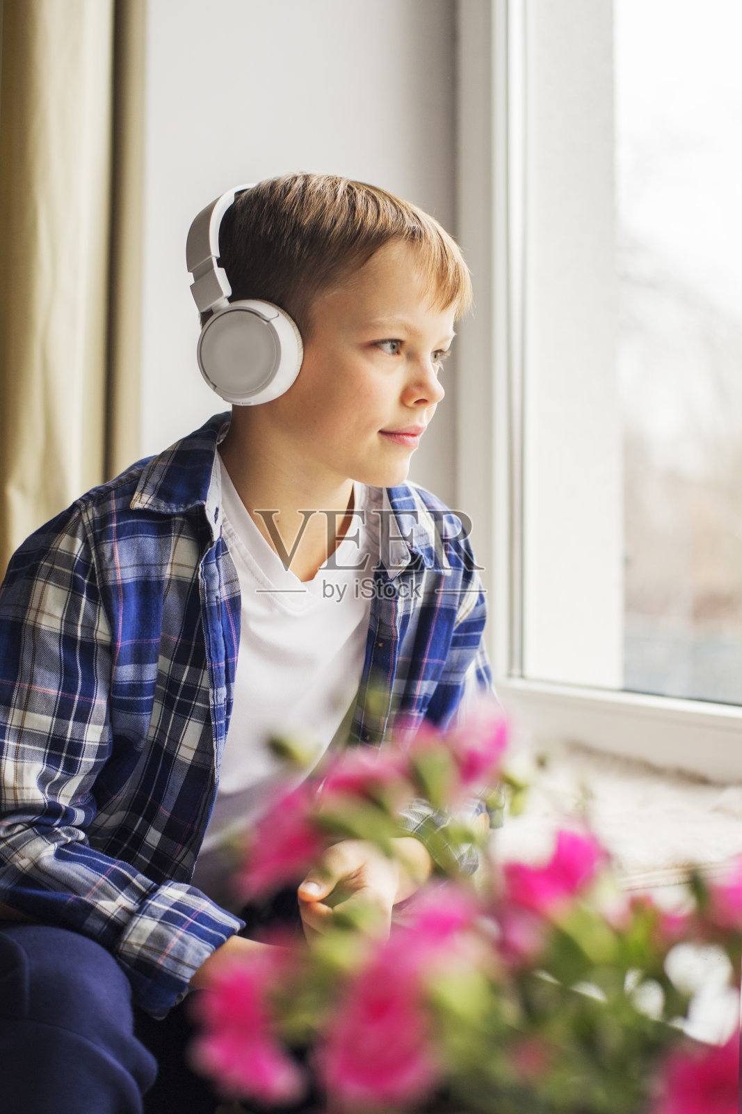 小男孩把坐在窗边的猫吃掉了照片摄影图片