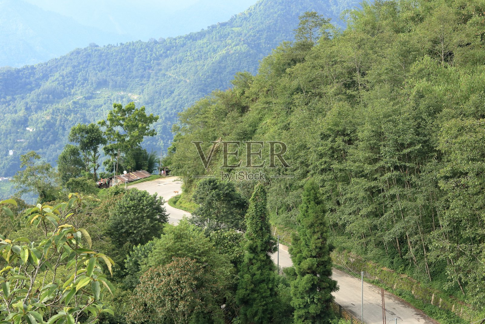 印度锡金的山路照片摄影图片