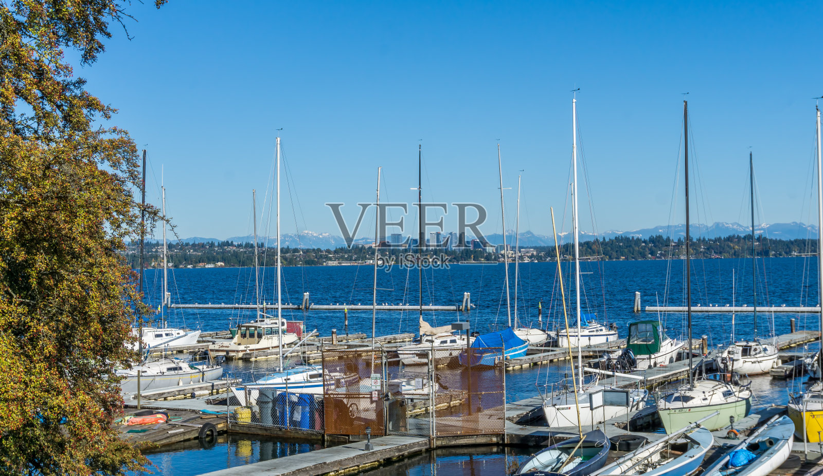 船和贝尔维尤天际线照片摄影图片