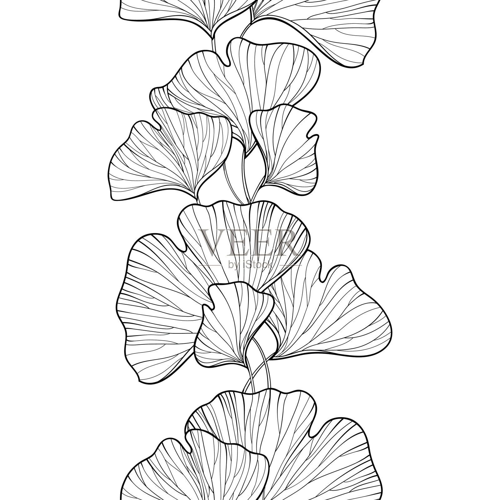 矢量无缝图案与轮廓银杏或银杏叶在黑色的白色背景。插画图片素材