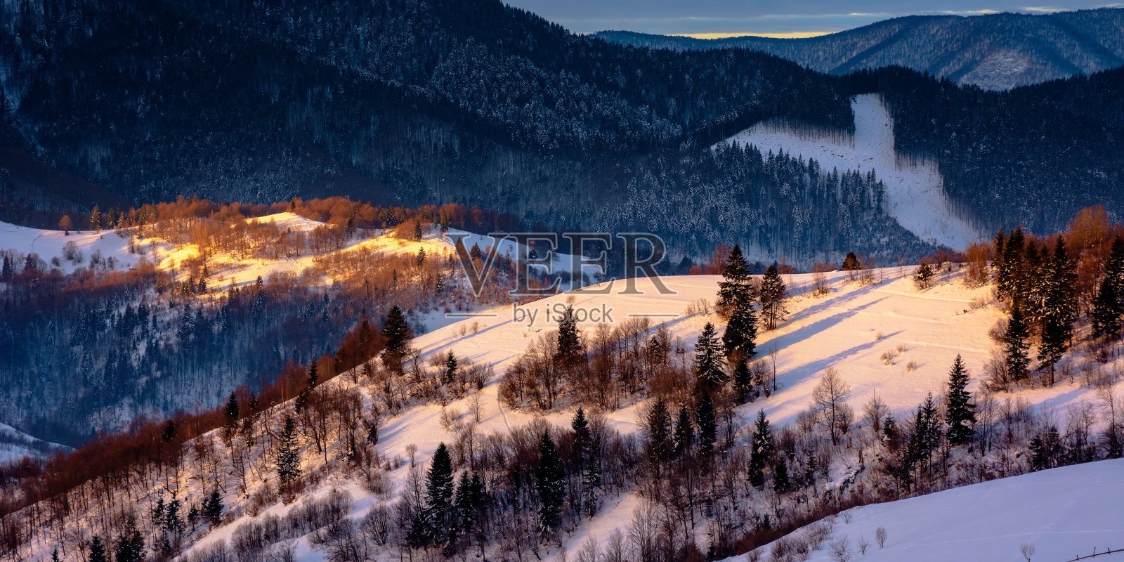 冬天的乡村景色在黎明照片摄影图片