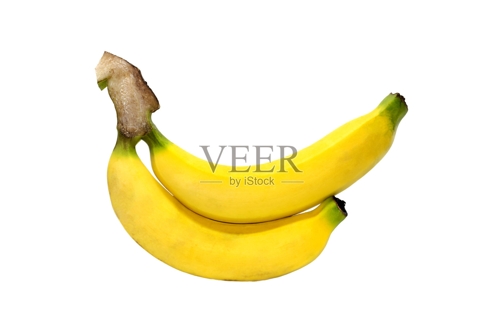 两根成熟的黄香蕉或皮桑麻甜果孤立在白色背景和修剪路径上照片摄影图片