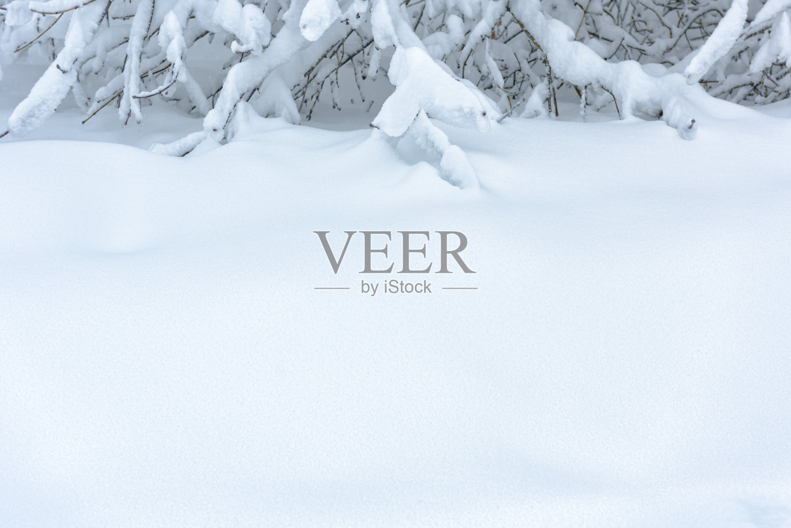 背景雪纹理与文本复制空间。平原白雪皑皑的纯净风景。照片摄影图片