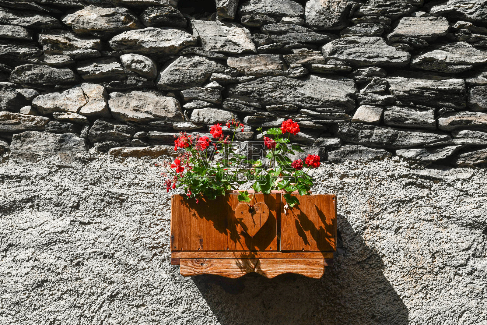 意大利皮埃蒙特,恰纳尔,丘尼奥,古石墙的特写,一株挂着红花的植物插在一个木罐里照片摄影图片