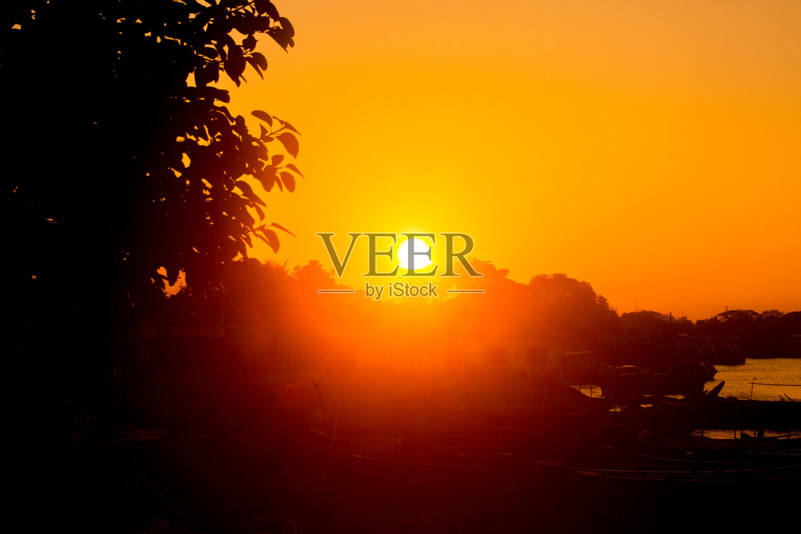 空中的薄雾日出时间与金色的光芒从太阳照耀天空。最大的树叶是一棵老菠萝蜜树。照片摄影图片