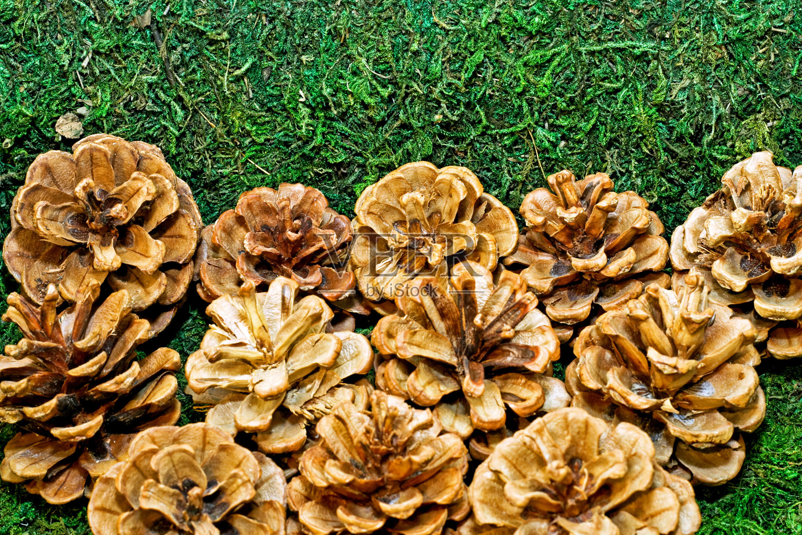 锥背景照片摄影图片