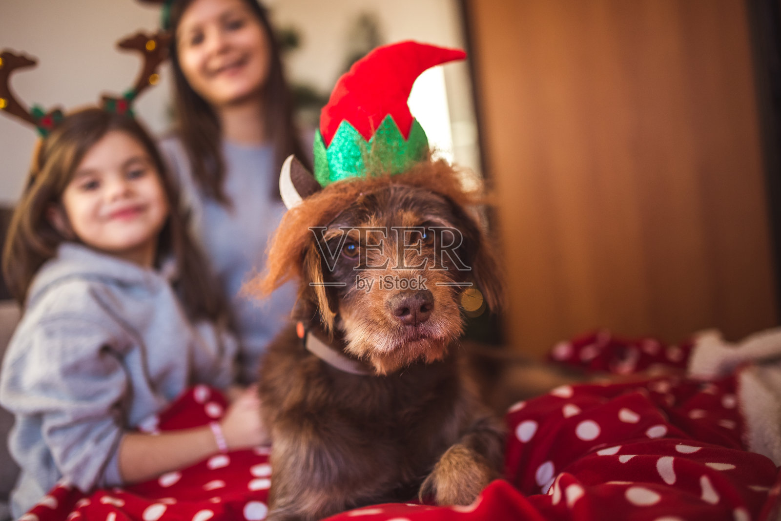 母女与年长的狗狗在床上庆祝圣诞节照片摄影图片