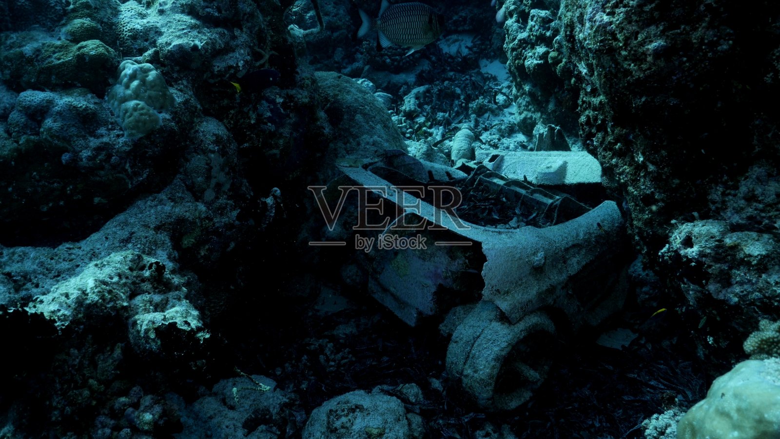 马尔代夫海底珊瑚礁的海洋碎片照片摄影图片