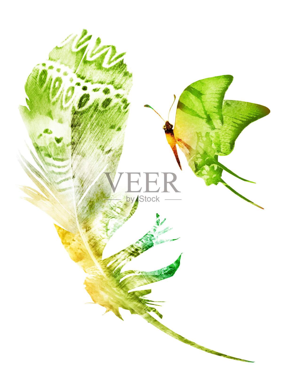 水彩羽毛与蝴蝶照片摄影图片