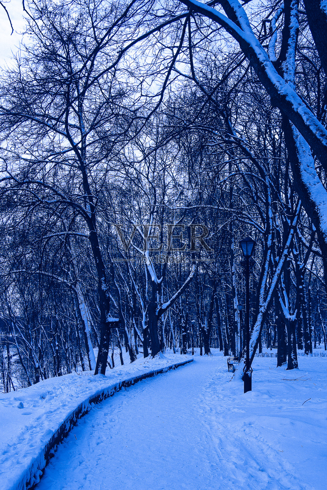 公园里被雪覆盖的小路照片摄影图片