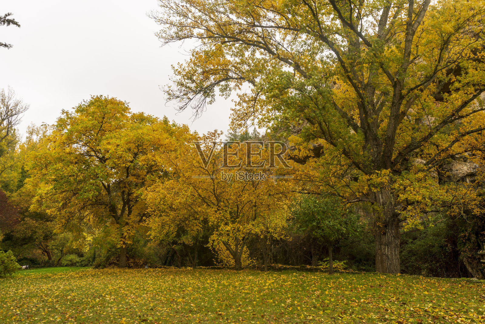 在索里亚,靠近卡拉塔纳佐的小路照片摄影图片