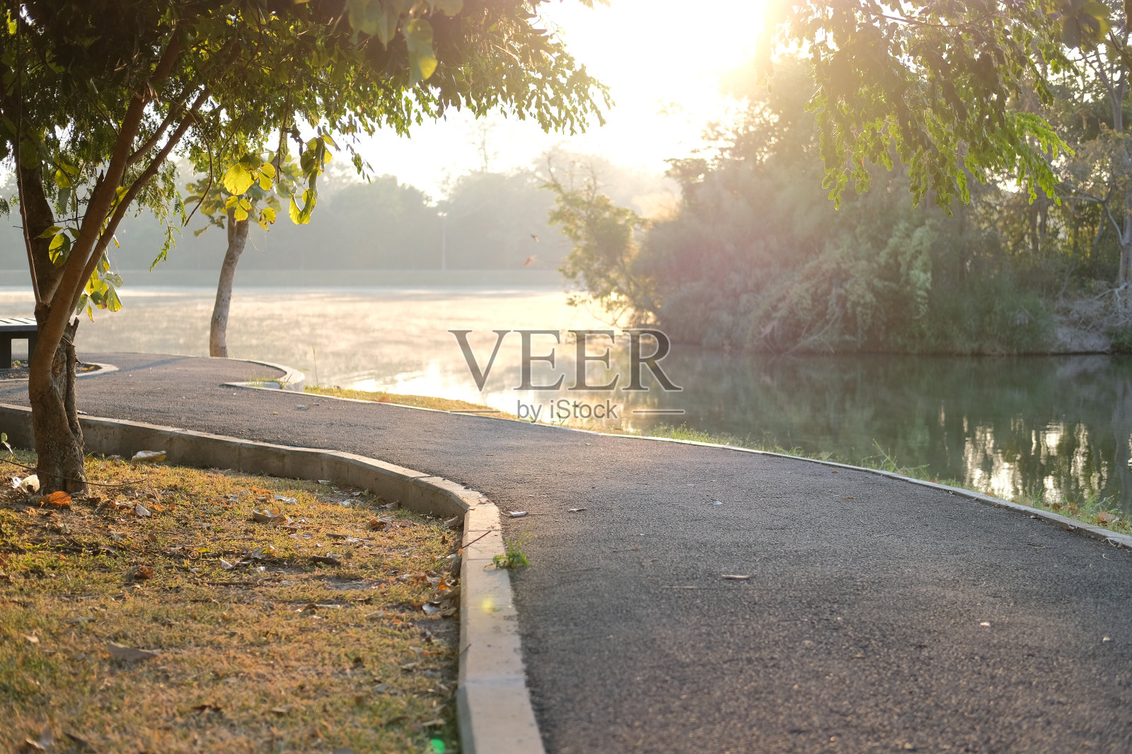 公园里的人行道,早晨的阳光和雾在湖池塘上照片摄影图片