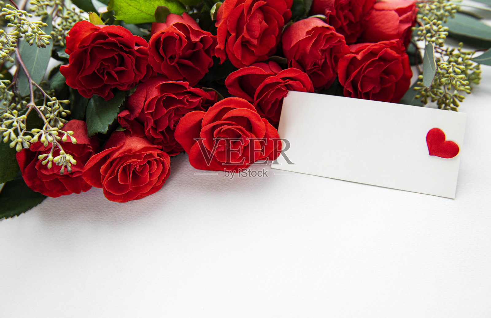 白色背景的桉树红玫瑰照片摄影图片