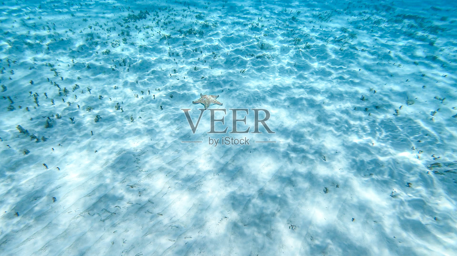 在科苏梅尔的珊瑚礁度假照片摄影图片