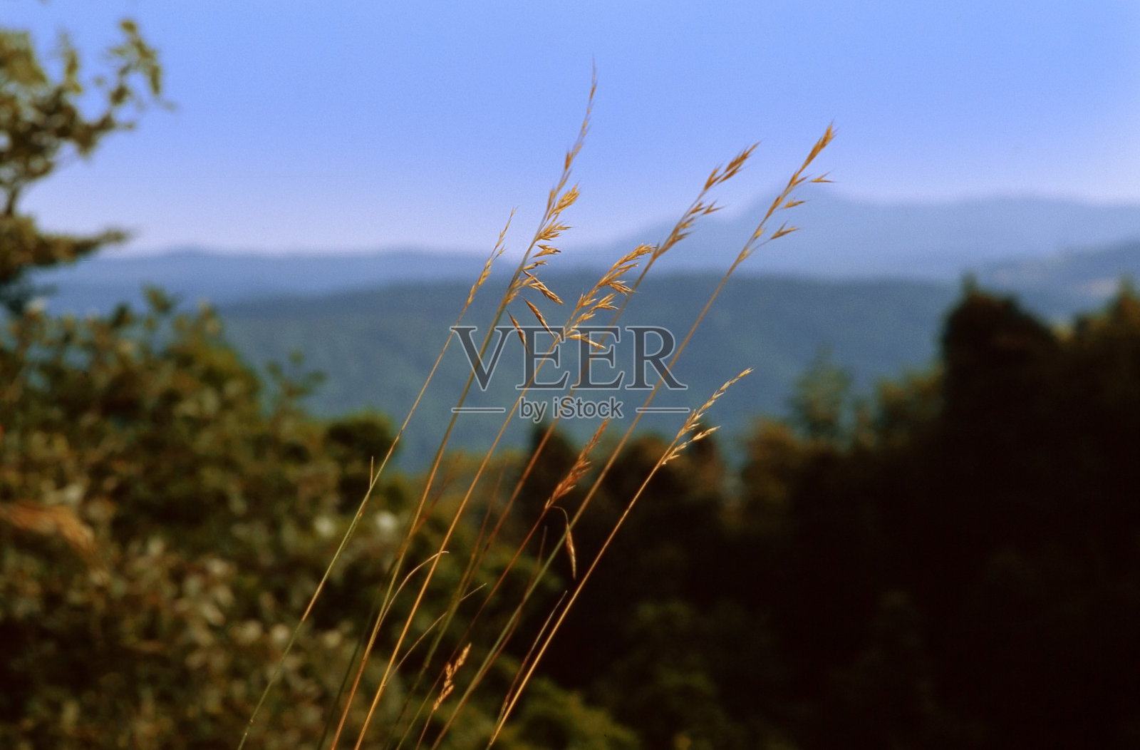 汝拉是法国东部Bourgogne-Franche-Comté的一个部门,以汝拉山脉命名照片摄影图片