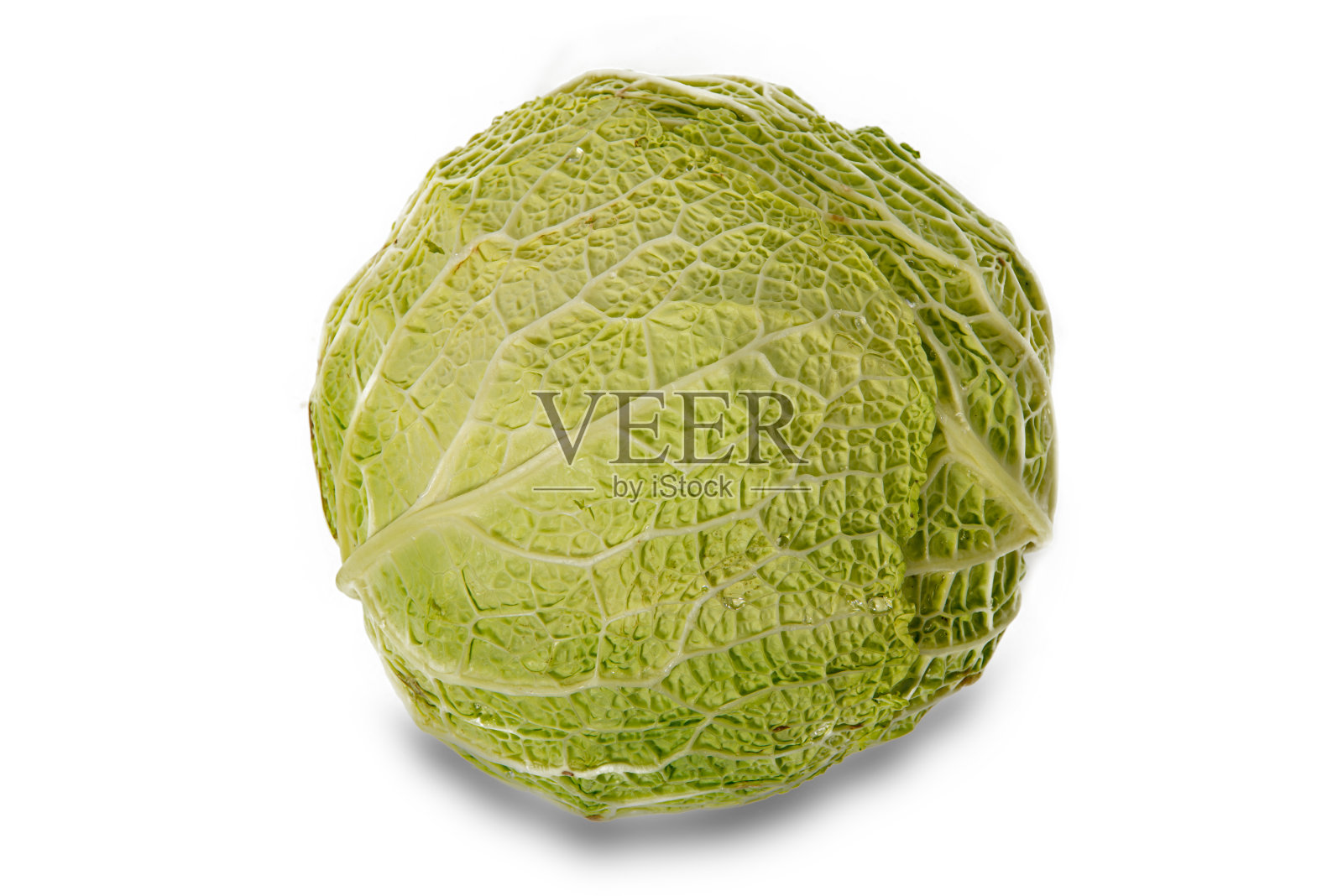 青菜孤立在白色的背景上照片摄影图片