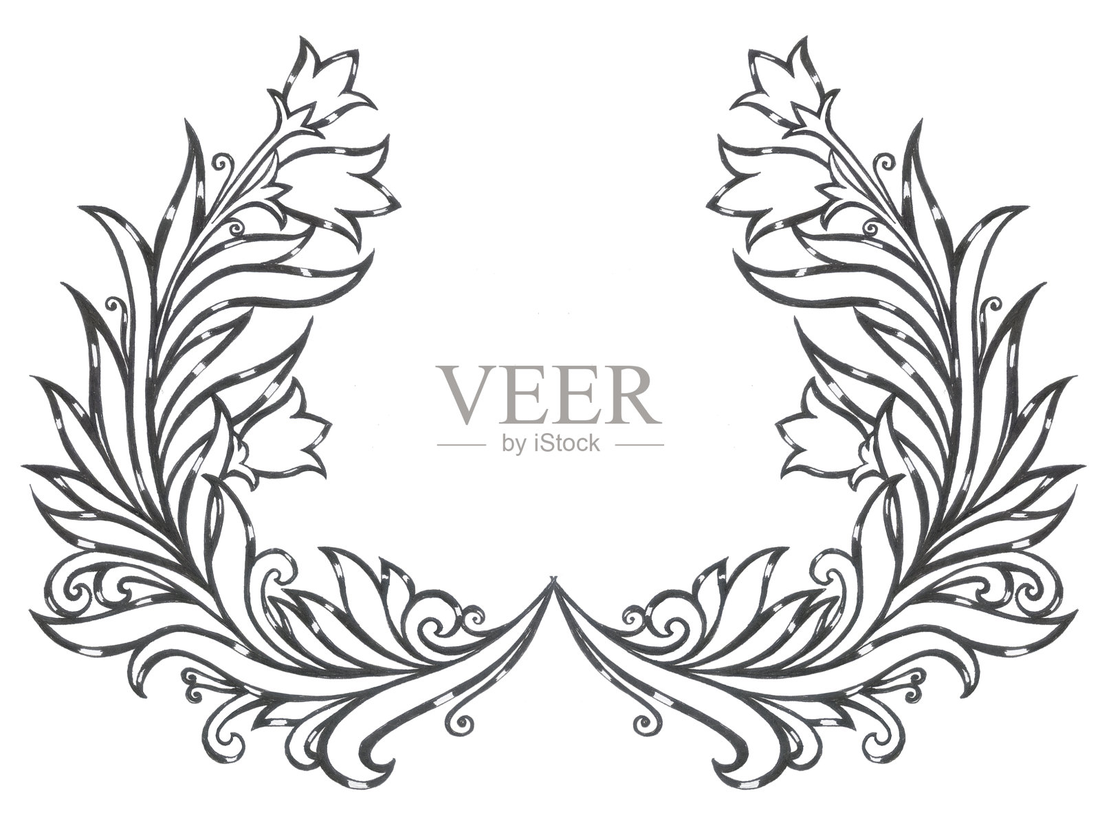 图案花,风信子,古董框架插画图片素材