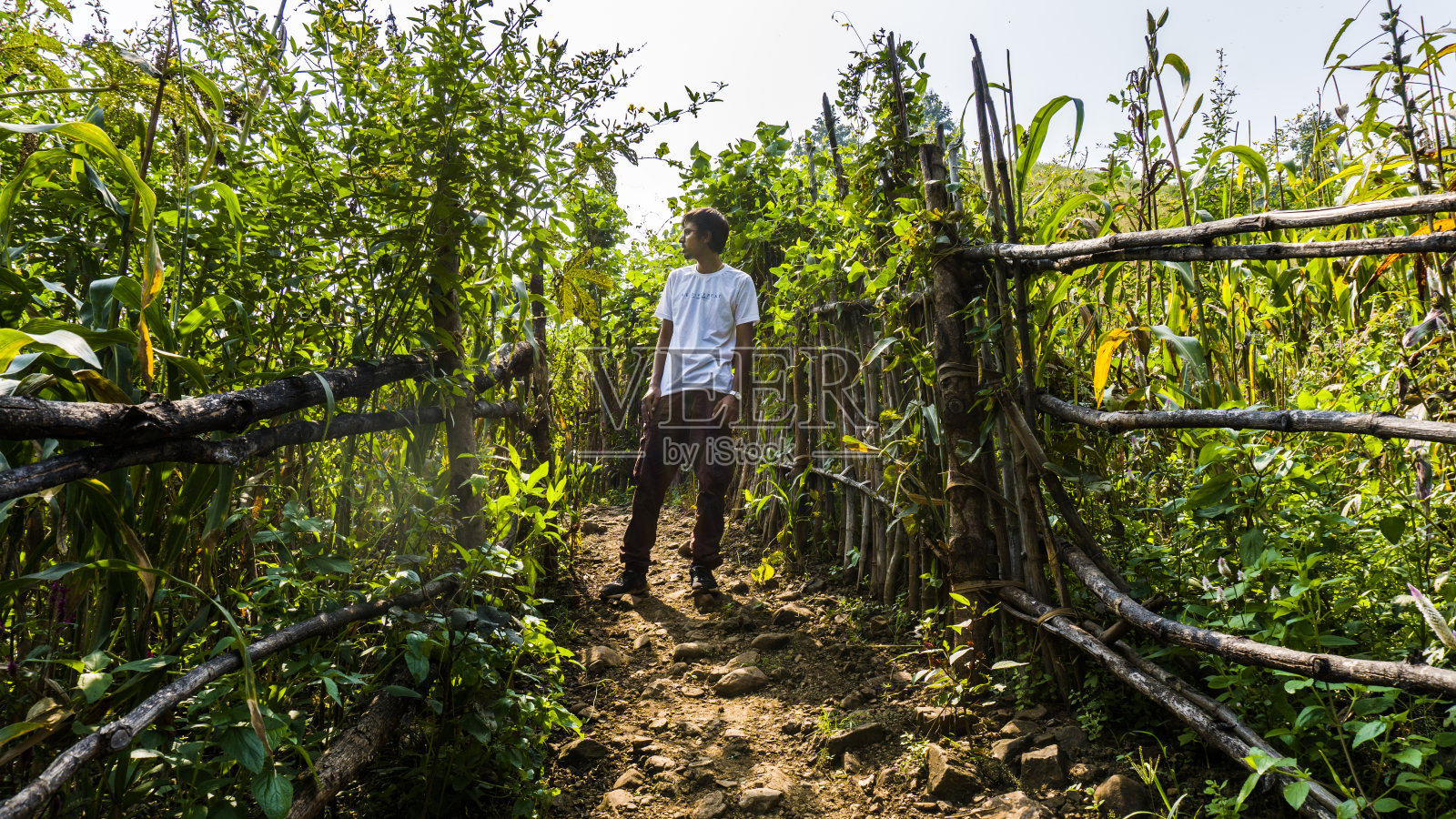 扎瓦尼瀑布的成年男子照片摄影图片