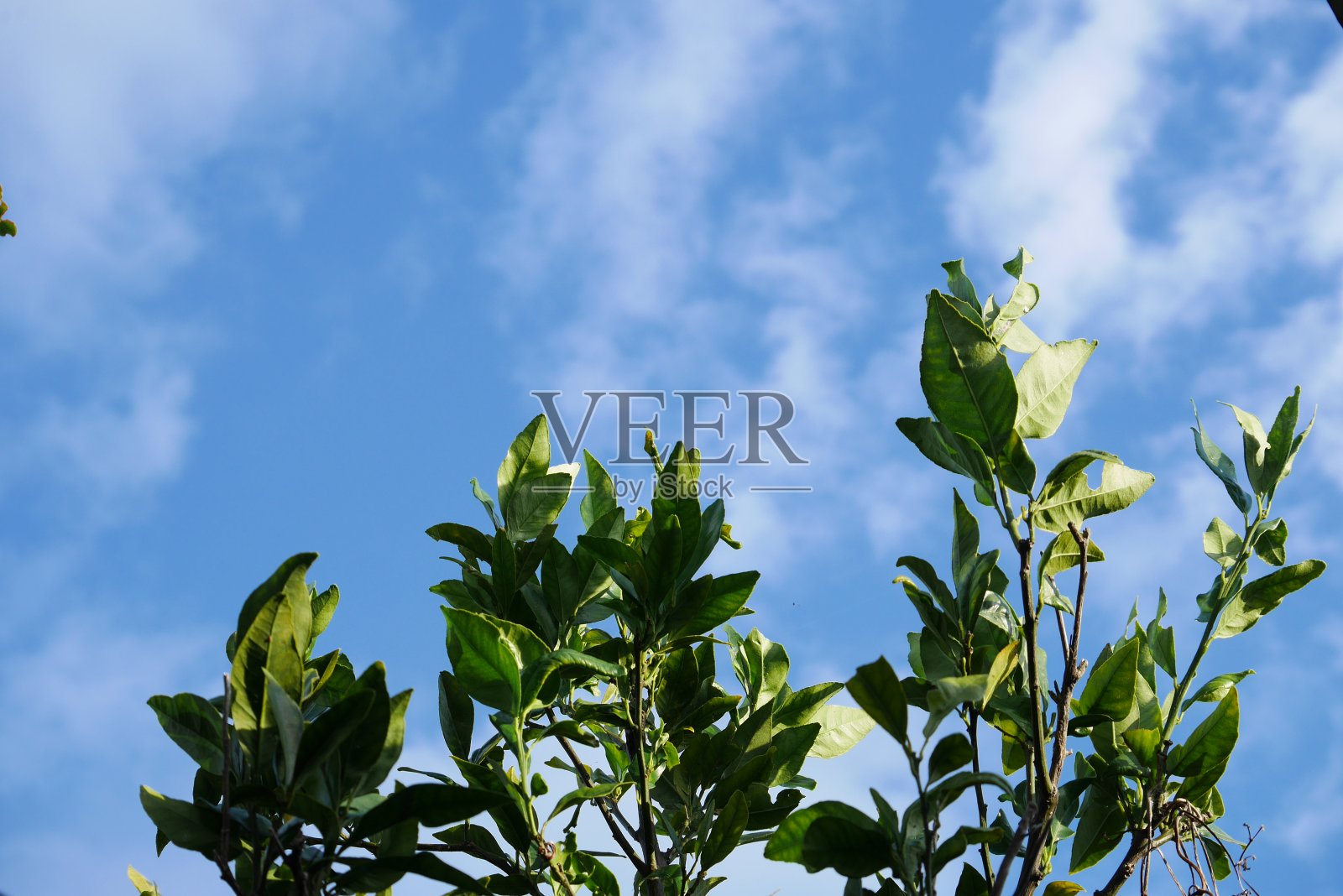 秋天的天空照片摄影图片