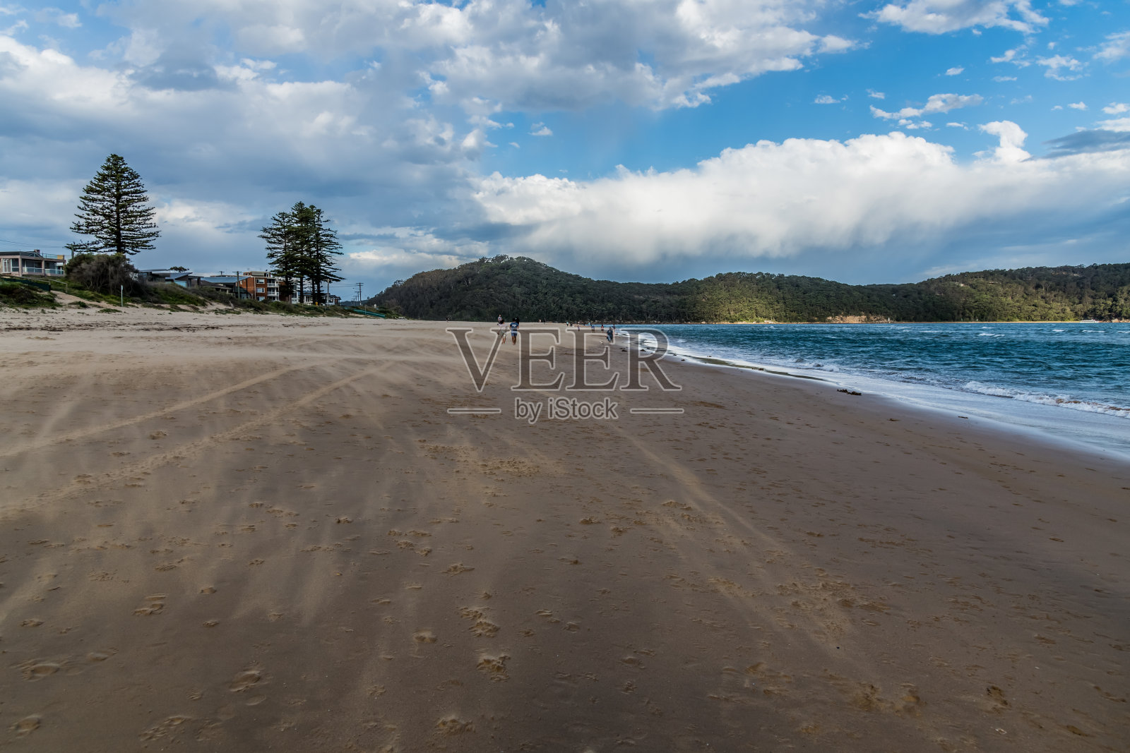 有风的春天下午在海滩照片摄影图片
