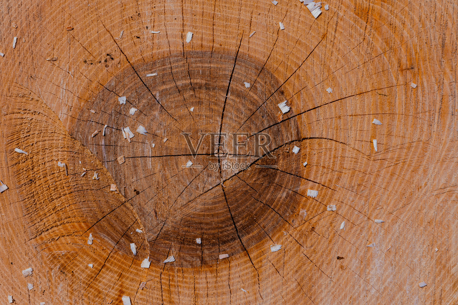 圆形非彩色木材,经典木纹纹理。照片摄影图片