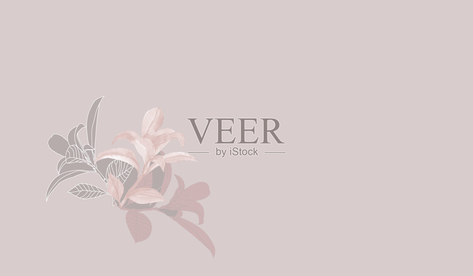 灌木装饰分支。插画图片素材