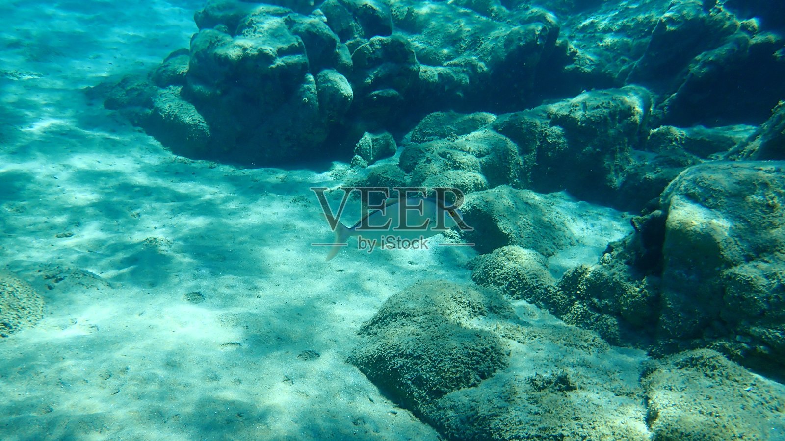 伟大的安伯利。照片摄影图片