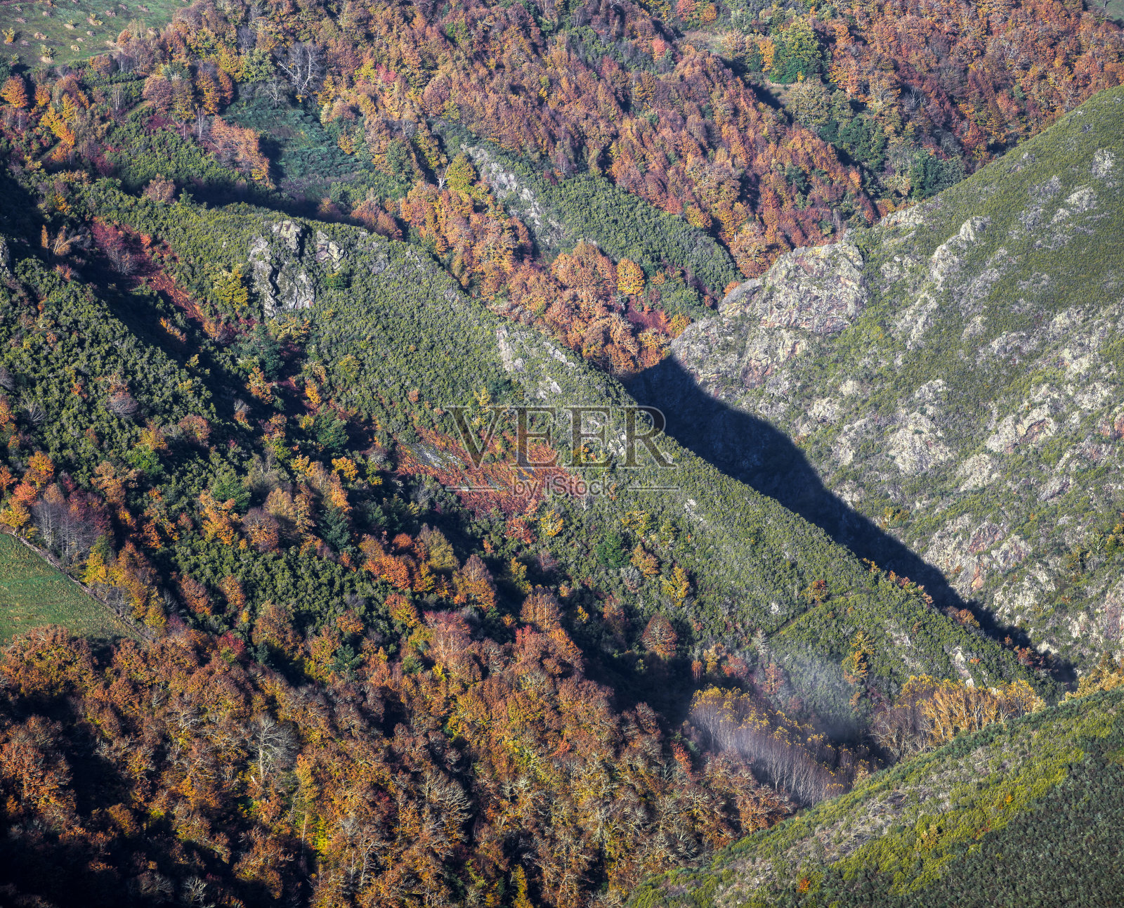 有岩石斜坡和落叶的本地森林的山谷照片摄影图片