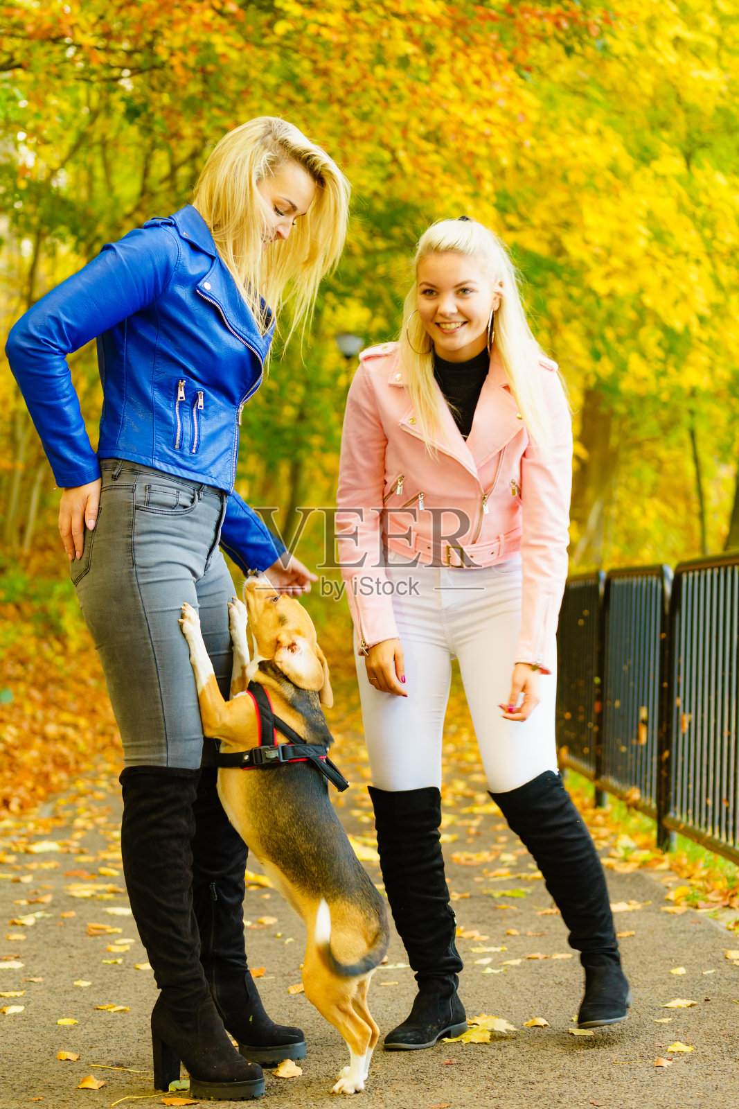 穿着时髦秋装的女性照片摄影图片