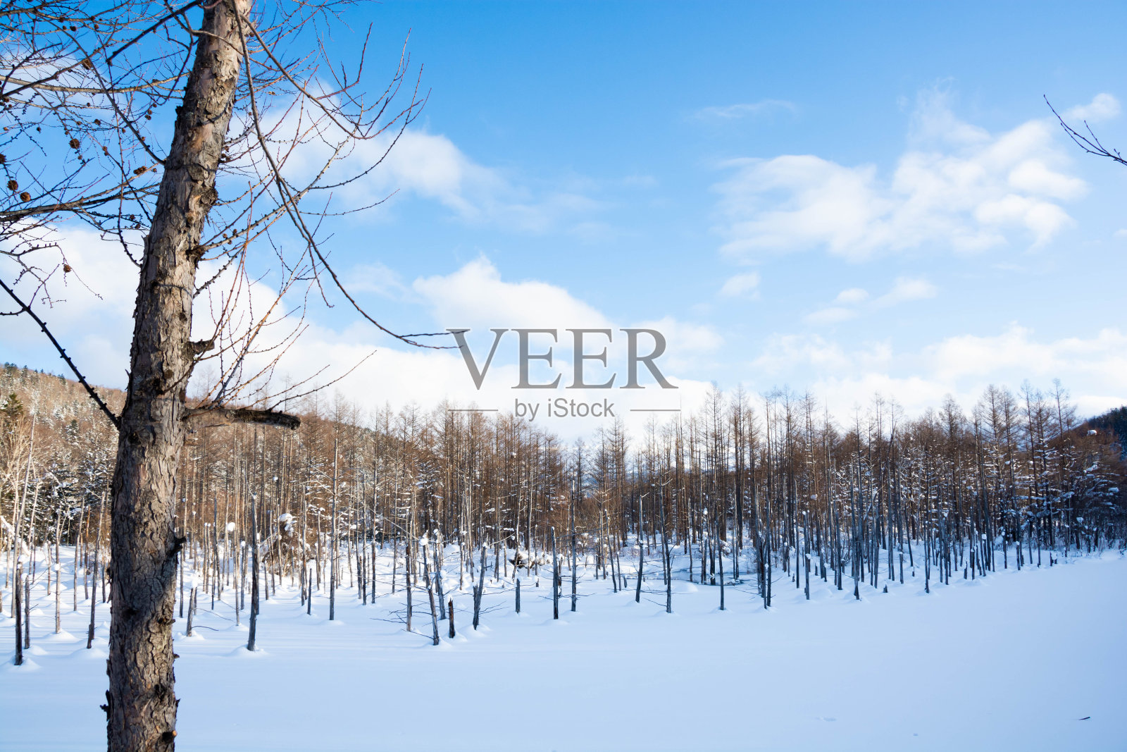 北海道冬季湖泊照片摄影图片