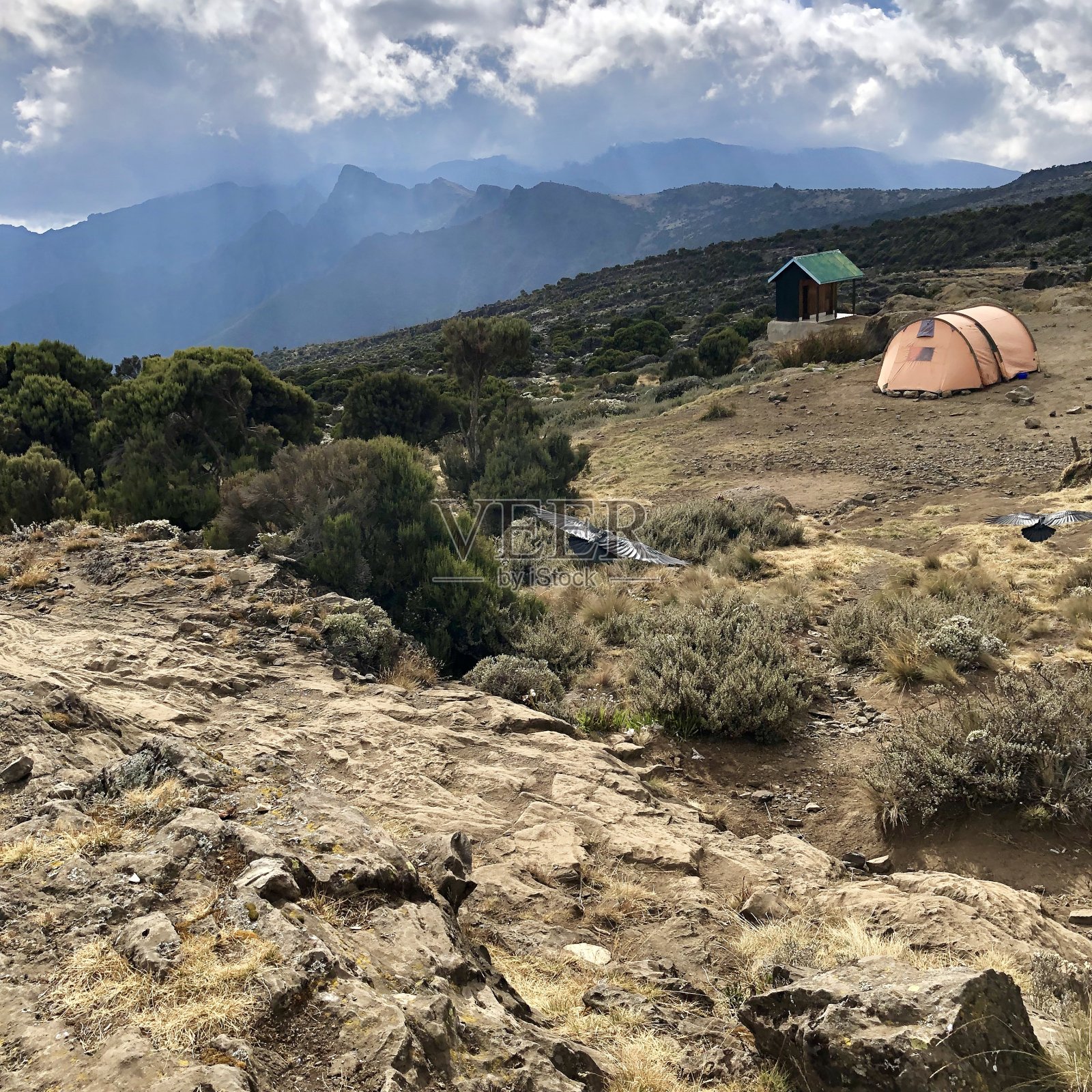 乞力马扎罗营地照片摄影图片