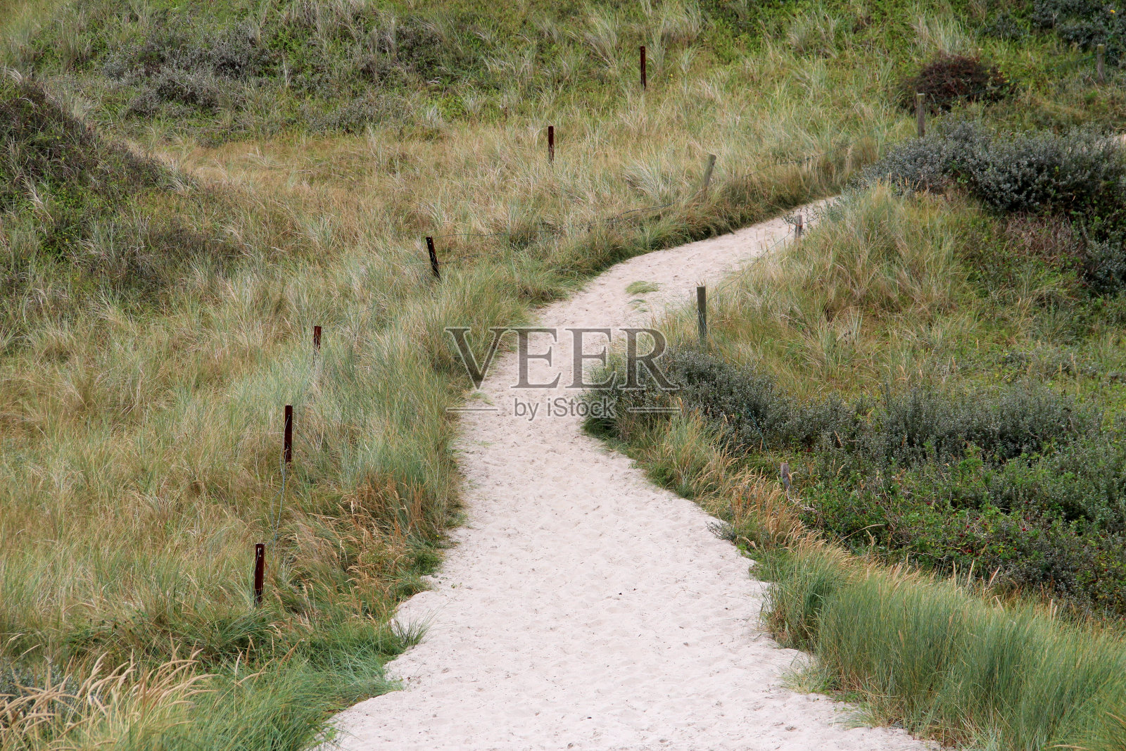 视点就在一条步道上,从沙里走出来就正义德国照片摄影图片