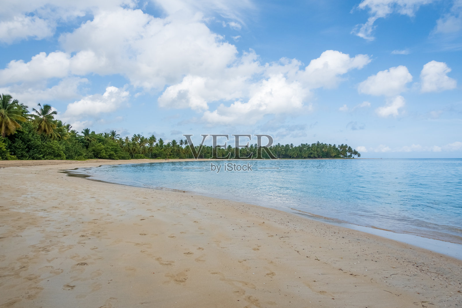 有沙滩和蓝天的热带海滩照片摄影图片