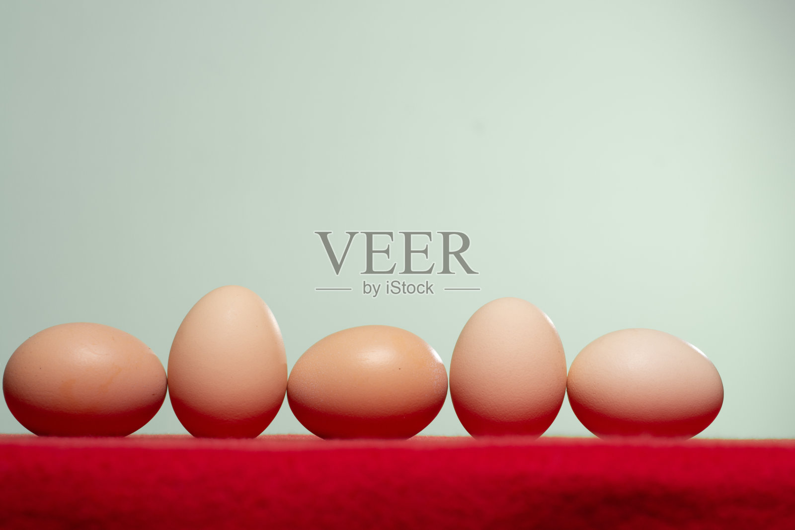 整只鸡蛋在红色背景上排成一排。照片摄影图片