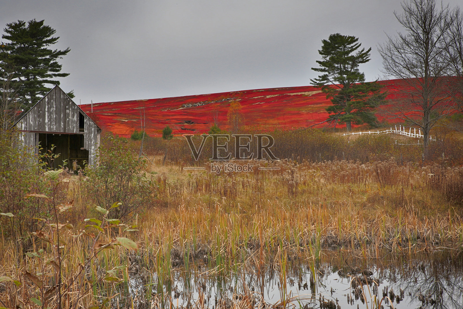 缅因州东部照片摄影图片