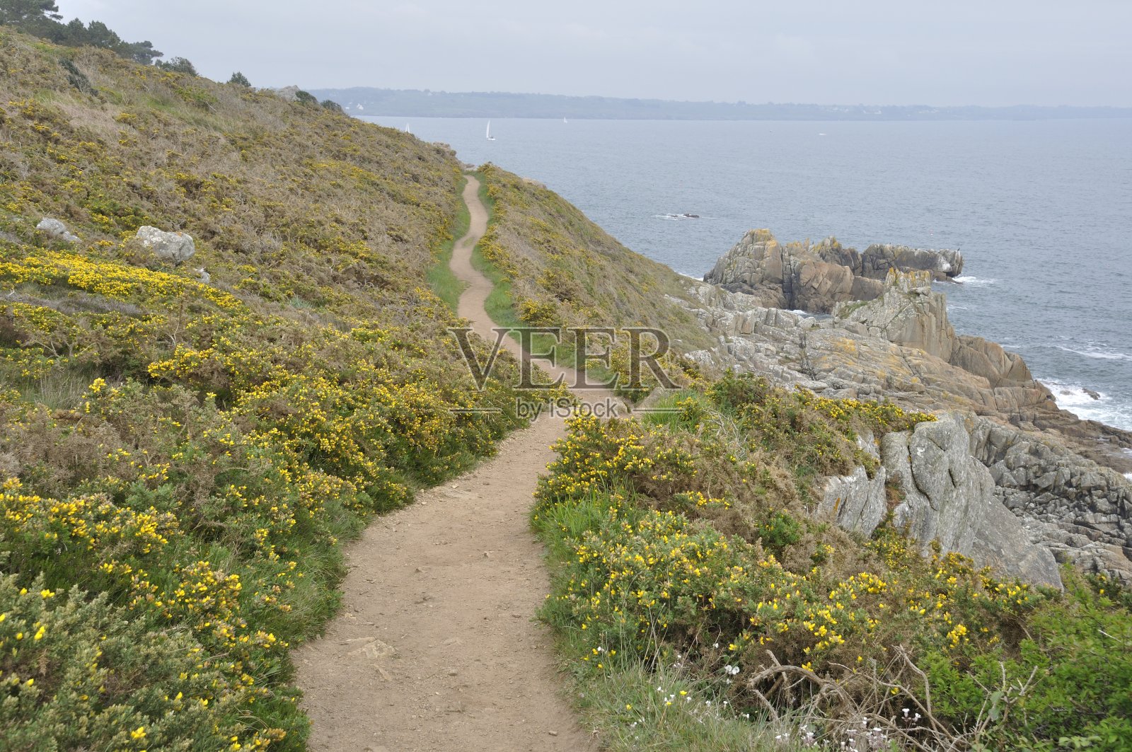“罗斯斯科海角”和“马内克港”之间的海岸照片摄影图片
