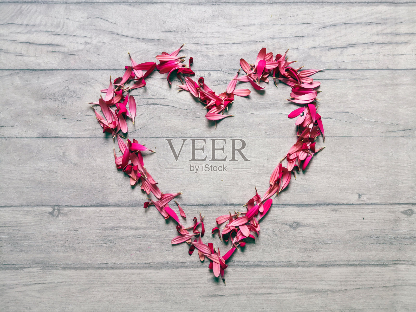 粉红色的心照片摄影图片