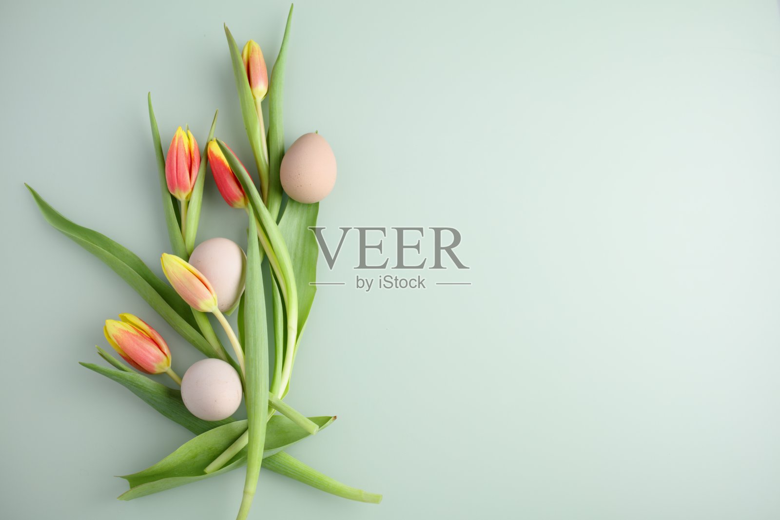 复活节背景与鸡蛋和郁金香照片摄影图片
