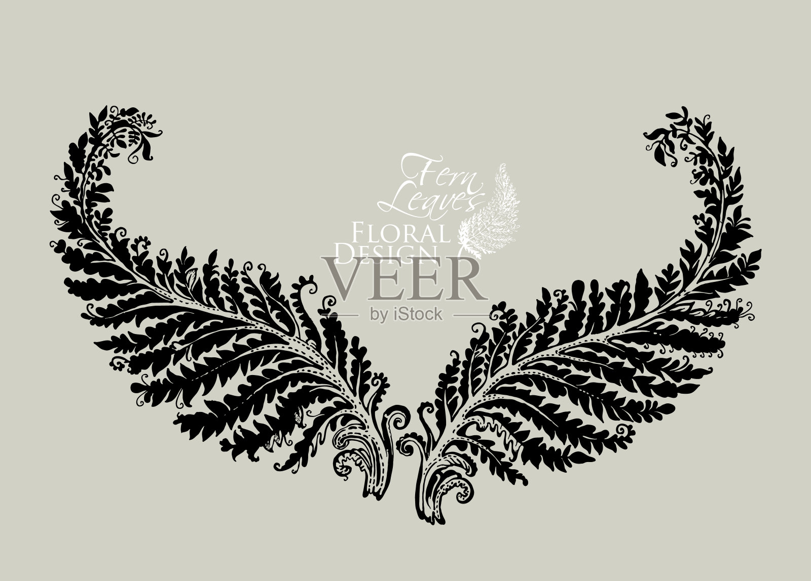 手绘童话蕨叶植物。对称排列的两片蕨状翅膀的叶子。矢量插图的美丽装饰的自然元素。插画图片素材