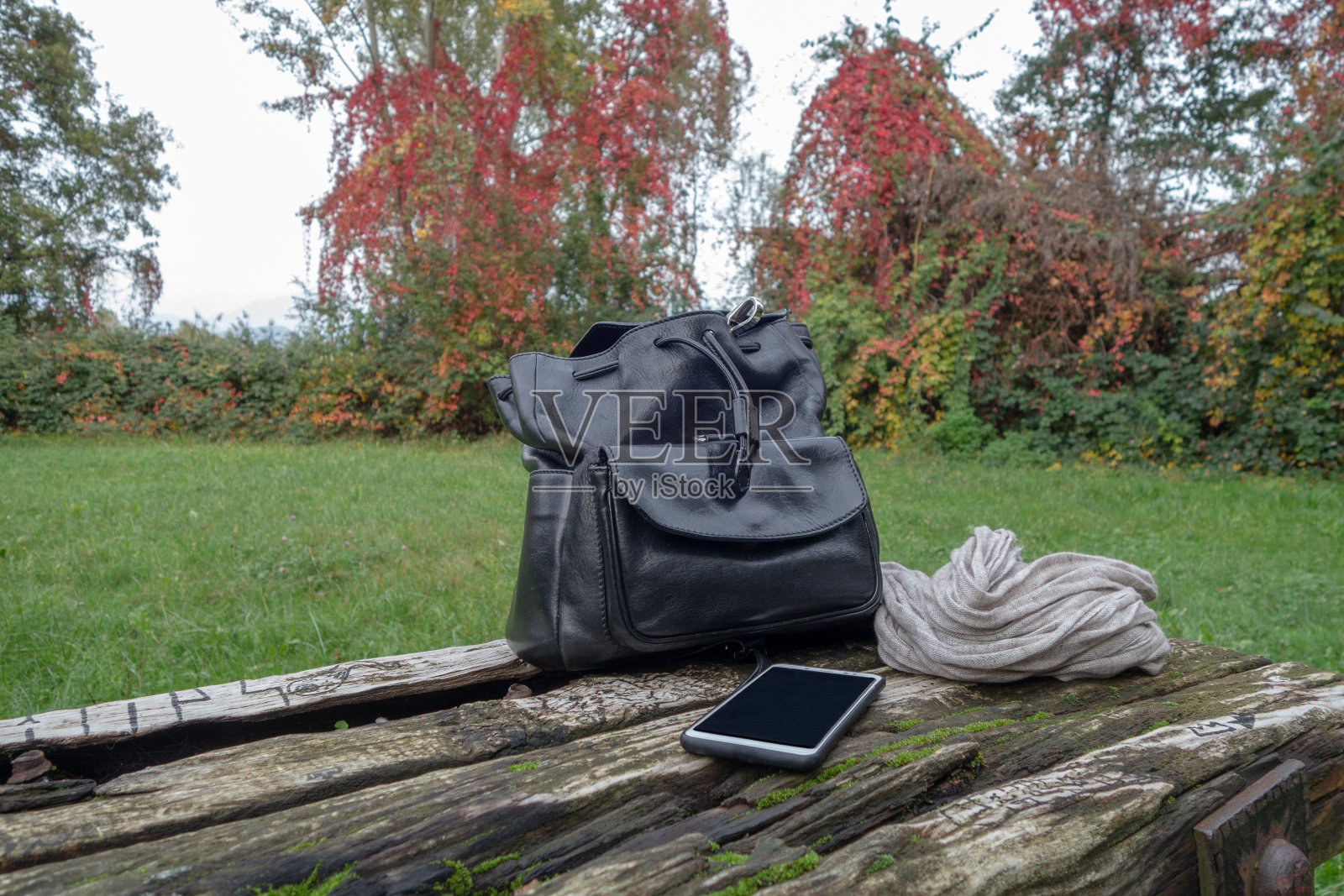 黑人妇女的包和手机放在公园里破旧的发霉木桌上照片摄影图片