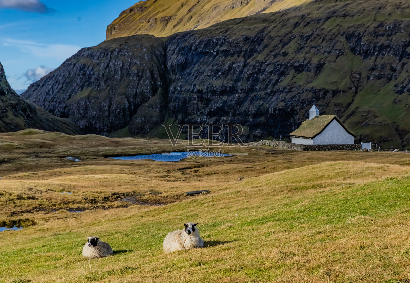 Saksun村的老教堂。照片摄影图片