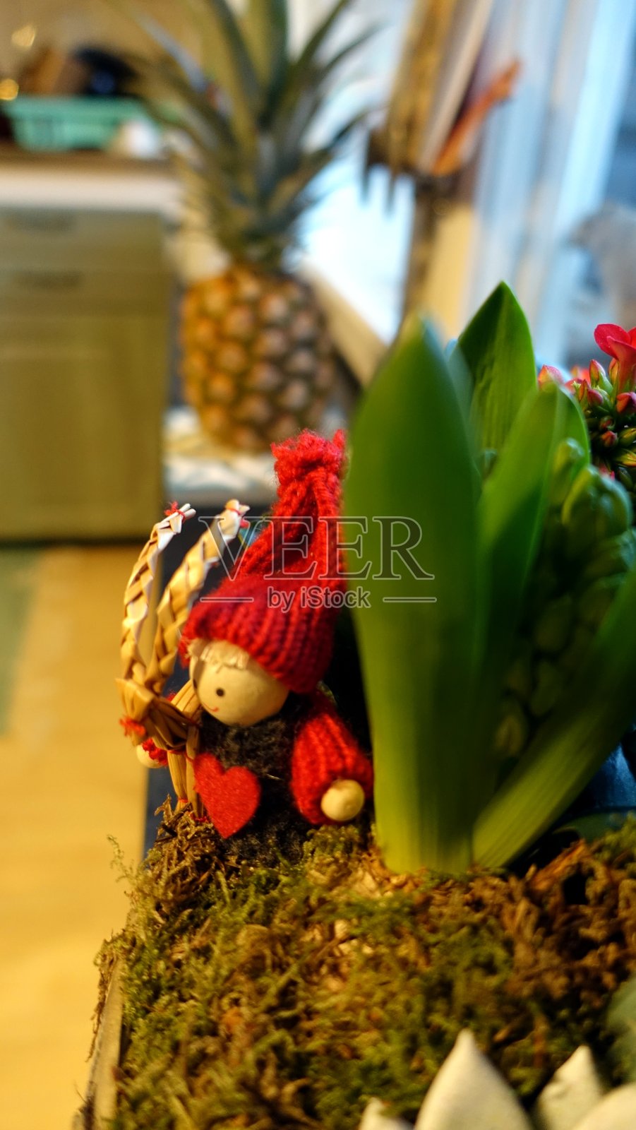 圣诞小精灵和他的圣诞山羊照片摄影图片